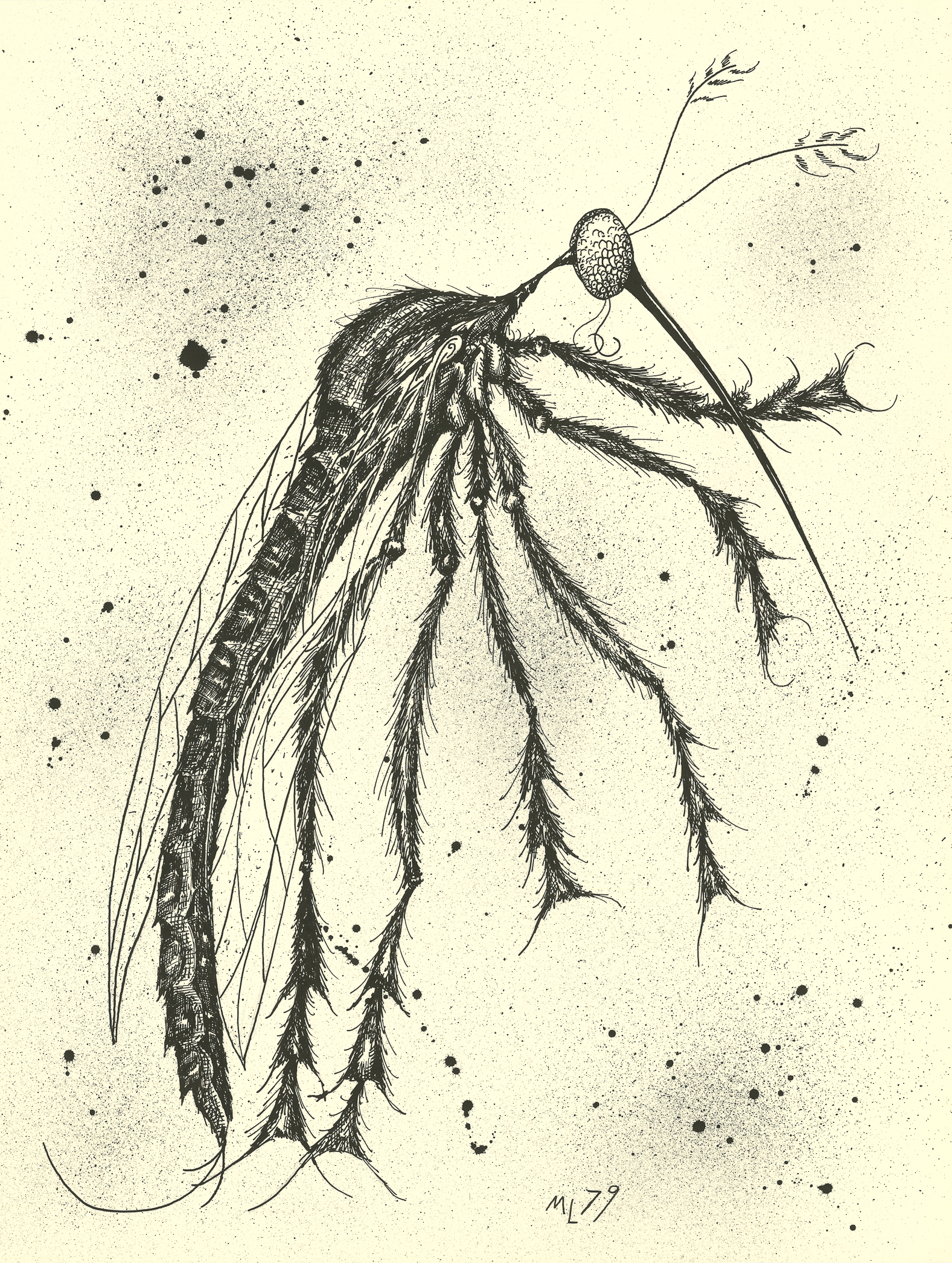 <i>Mosquito</i><br>Ink on paper<br>24 X 18 Inches<br>September - 1979<br>