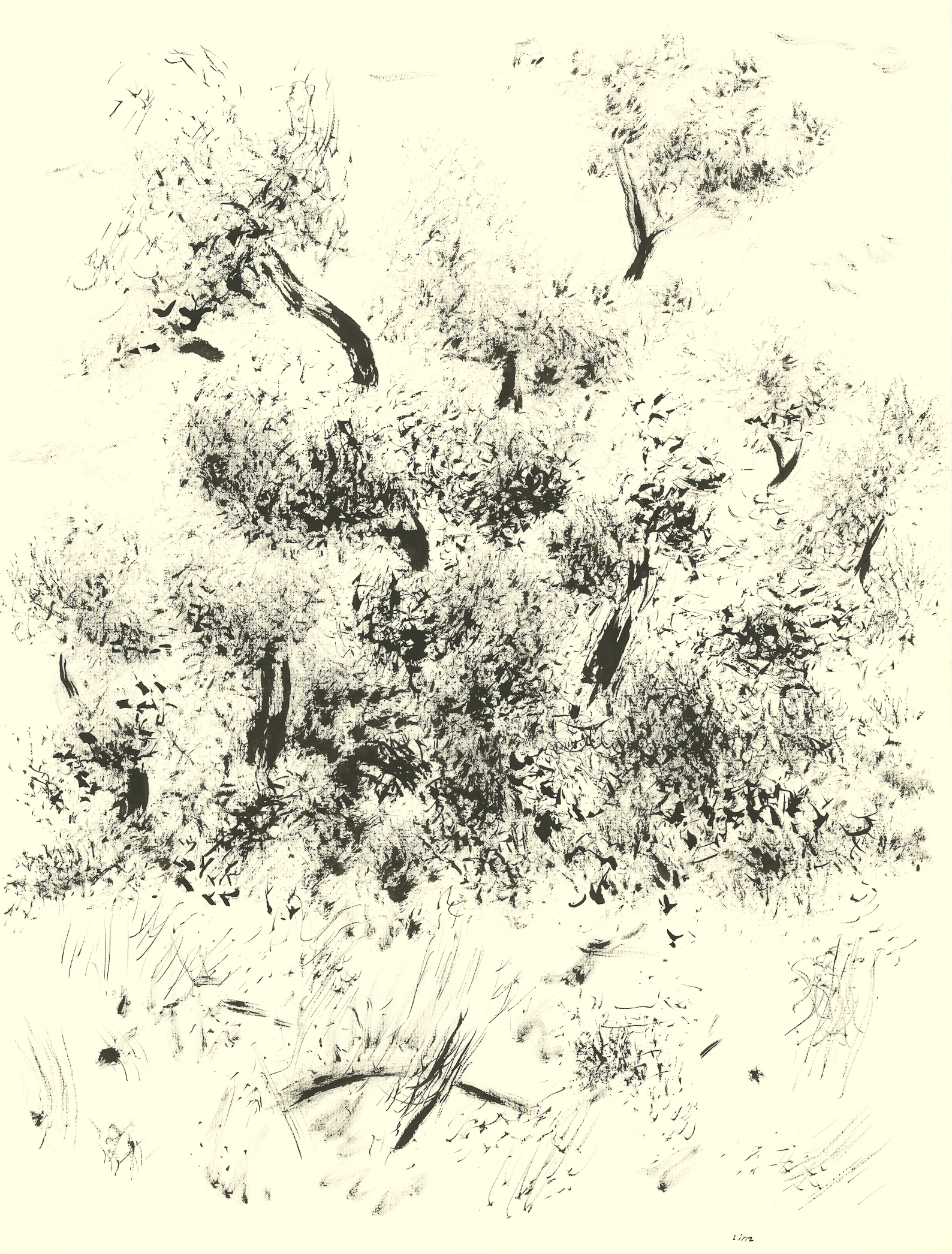 <i>Thicket # 2</i><br>Ink on paper<br>Thicket Series<br>24 X 18 Inches<br>March - 1984<br>